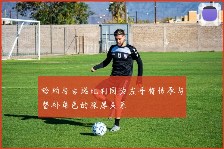 哈珀与吉诺比利同为左手将传承与替补角色的深厚关系