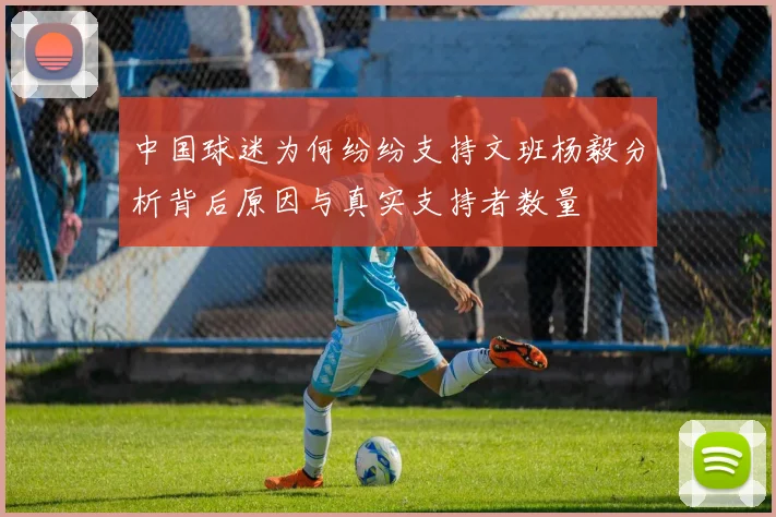 中国球迷为何纷纷支持文班杨毅分析背后原因与真实支持者数量