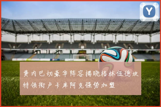 费内巴切豪华阵容揭晓格林伍德坎特领衔卢卡库阿克强势加盟
